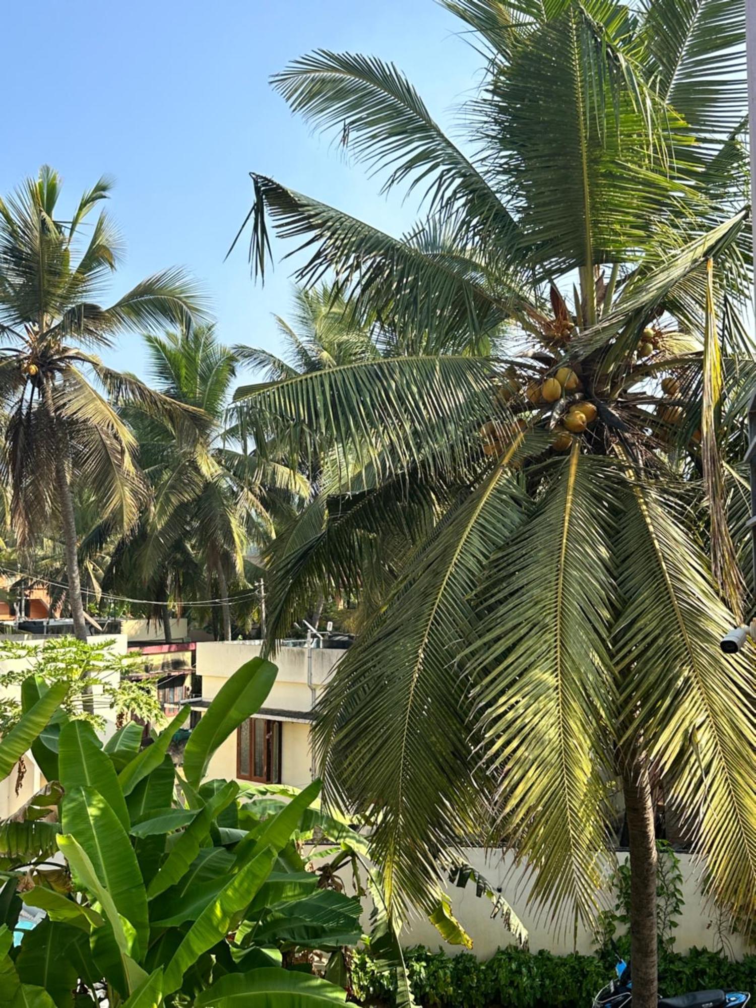 مبيت وإفطار تريفِندرم Santa Maria, Trivandrum - An Airport Boutique By The Sea المظهر الخارجي الصورة