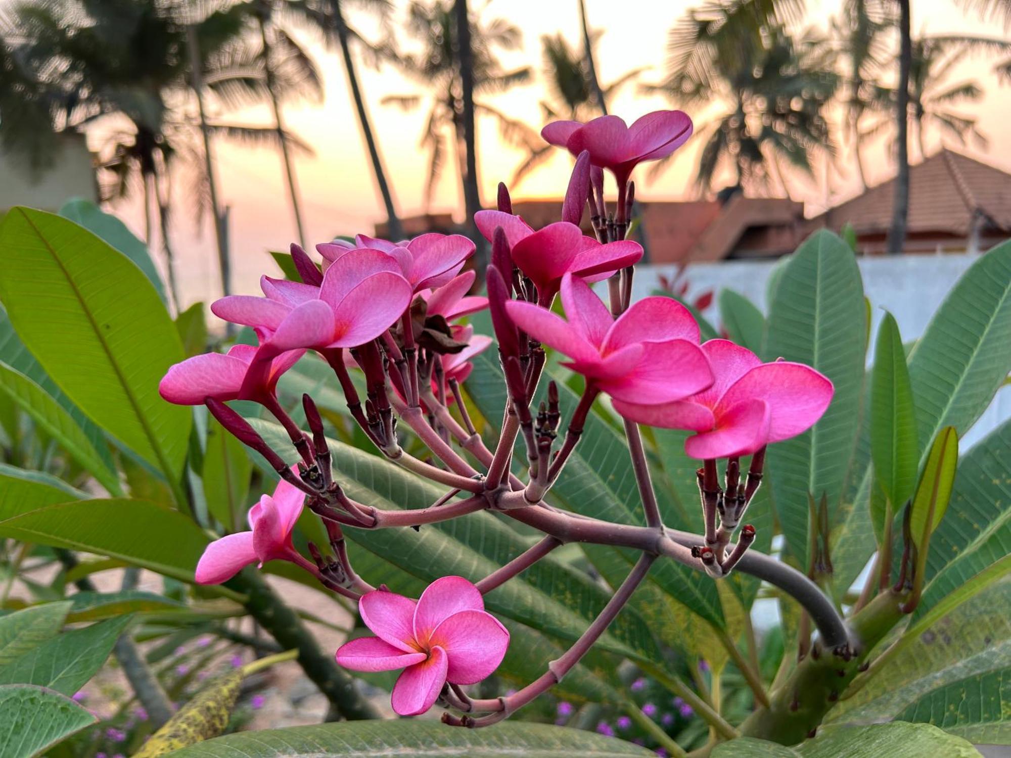 مبيت وإفطار تريفِندرم Santa Maria, Trivandrum - An Airport Boutique By The Sea المظهر الخارجي الصورة